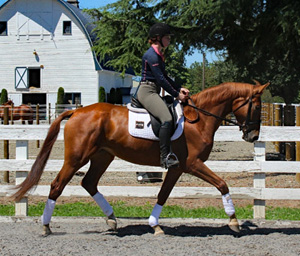 Illiena – Sold