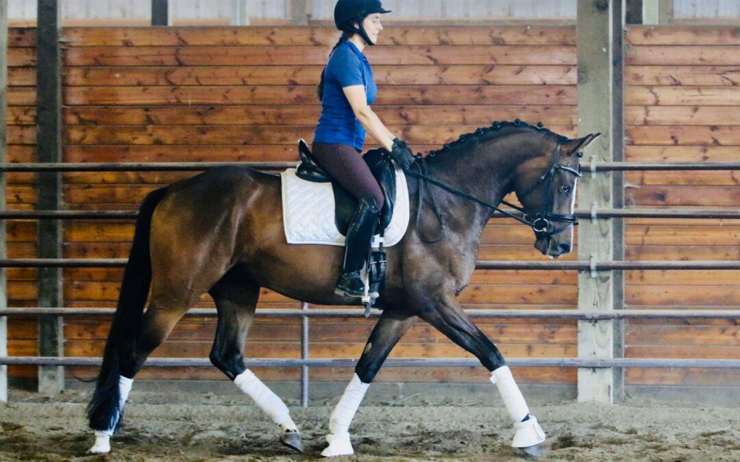 Irresistible (Dragon Hill/Wistar) – Sold