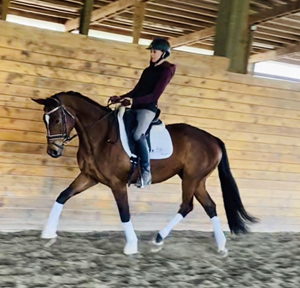 Wasabi (Diamondhead/Pine Bluff)