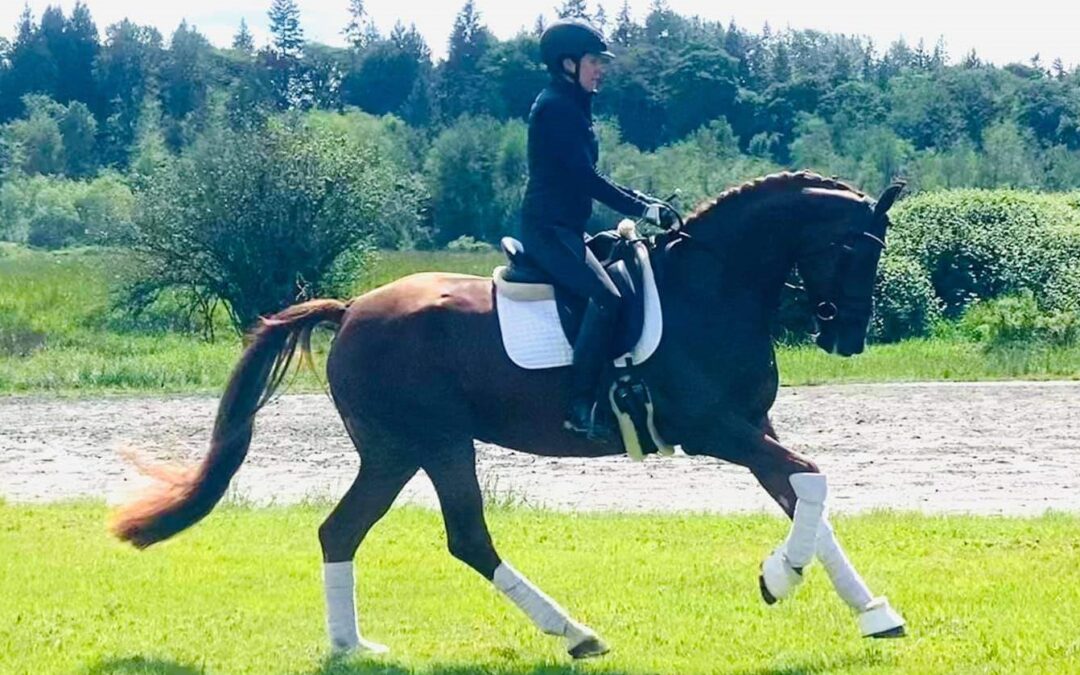 Fanciful (Danciano/First Class)