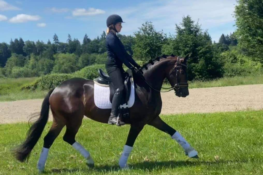 Fashionably Deluxe (Don Deluxe/Fürst Romancier)